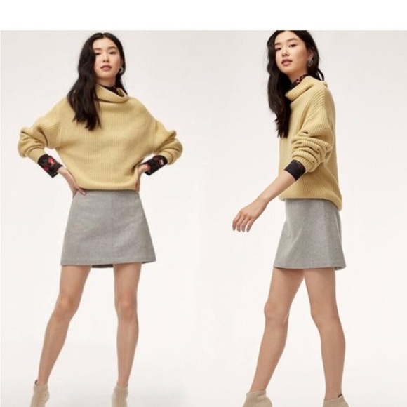 Aritzia Dresses & Skirts - Aritzia Gray Mini Skirt